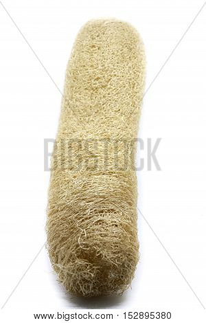 Dry Luffa, luffa sponge on the white background.