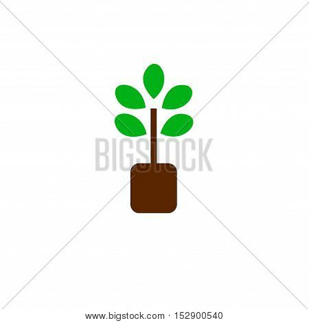 tree icon vector concept green on white backgrond