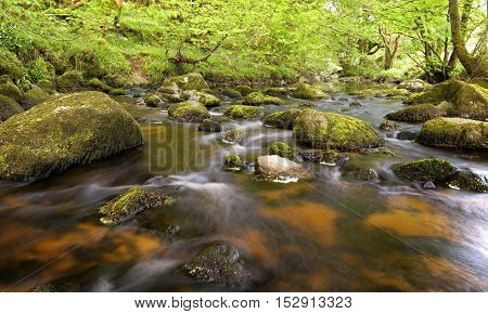 Stream surrounded by green forest, glencree valley, Ireland
