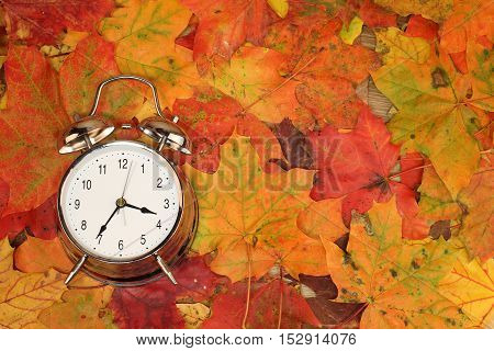 Autumn Still Life / Alarm clock and autumn leaves