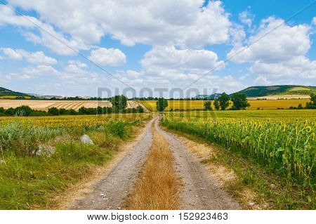 Image of Country Road between Fields in Bulgaria