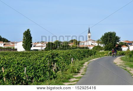 La Couarde sur Mer France - september 26 2016 : vineyard around the village in autumn