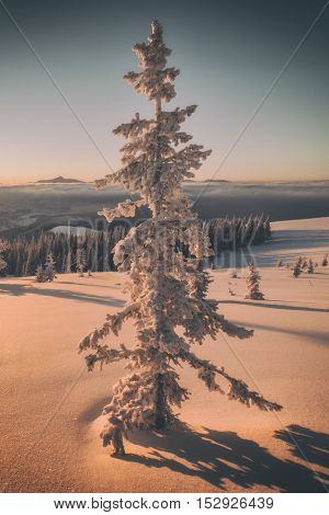 Fantastic orange evening landscape glowing by sunlight. Dramatic wintry scene with snowy trees. Kukul ridge, Carpathians, Ukraine, Europe. Merry Christmas! Toned like Instagram filter