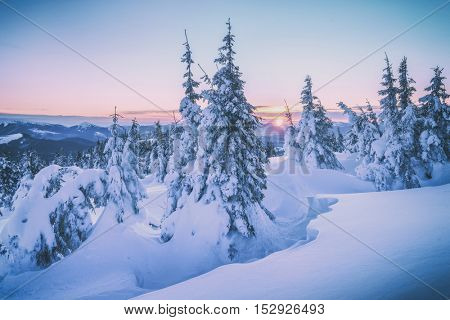 Fantastic orange evening landscape glowing by sunlight. Dramatic wintry scene with snowy trees. Kukul ridge, Carpathians, Ukraine, Europe. Merry Christmas! Toned like Instagram filter