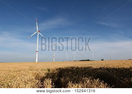 Alternative Energy / Wind turbines in a field