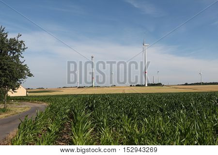 Alternative Energy / Wind turbines in a field