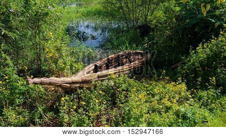 Traditional weed boat at the shore of Tana lake Bahir Dar Ethiopia