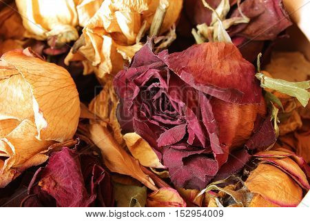 Collection Of Dried Roses Gift Husband