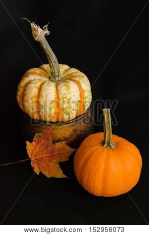 Fruits of the Harvest and Ready for Halloween