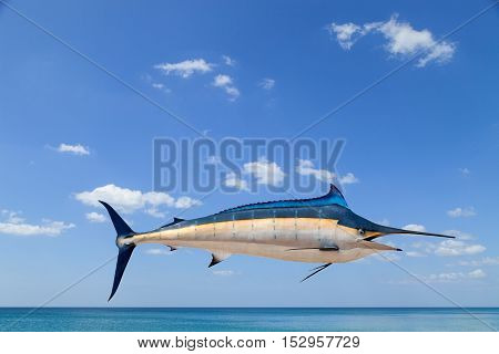 Marlin - Swordfish Sailfish saltwater fish (Istiophorus) isolated on sea and sky background