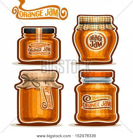 Vector logo Orange Jam in glass Jars with paper lid, rustic Pot home made orange zest jams, twine rope bow, homemade fruit jam jar, farm jelly pot with label, checkered cloth cap, isolated on white.