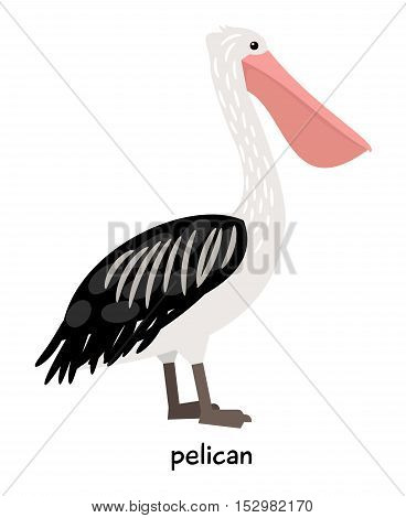 Pelican with large pink beak vector illustration