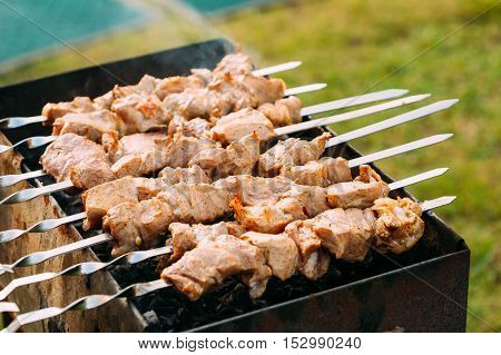 Grilled Marinated Caucasus Barbecue Meat Shashlik Shish Kebab Pork Meat Grilling On Metal Skewer. Nobody