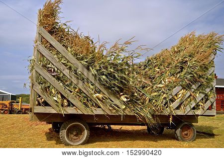 A load of corn shocks on a rack are ready to be used as feed or chopped up as silage