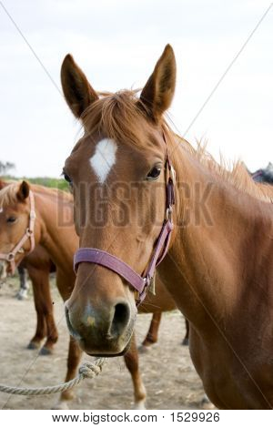 At