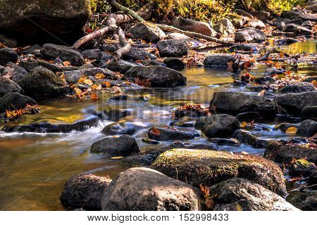 The Flatbrook River in Stokes State Forest, NJ, flows slowly along rocks and Autumn leaves