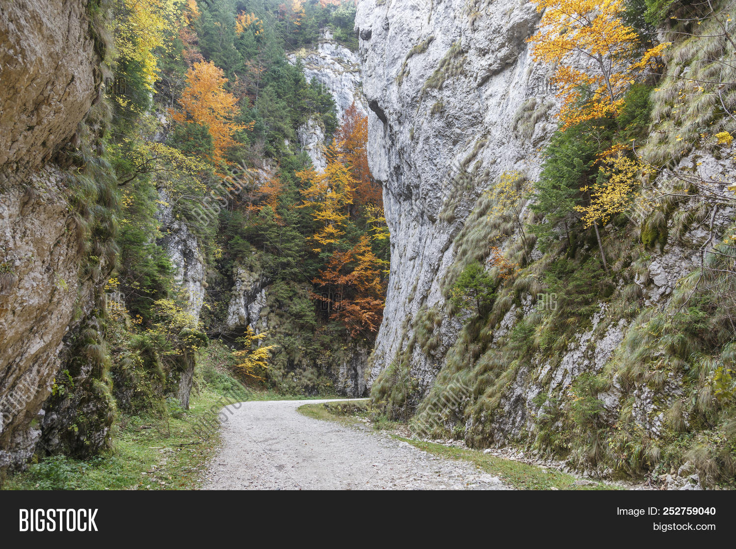 Landscape Curved Image Photo Free Trial Bigstock