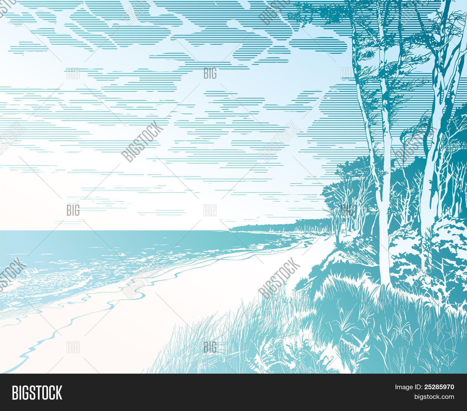 Image Preview