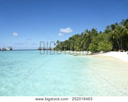 Maledives With White Sand And Green Palms