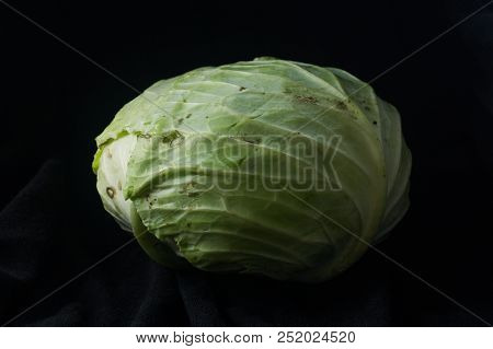Cabbage Vegetables On Black Ground.,cabbage On Darktone