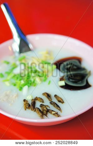 Rice Congee Asian Soup Topped With Chives, Eggs, And Crickets