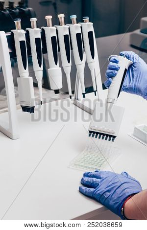 Partial View Of Scientist Using Multichannel Pipette At Working Table With Flasks In Modern Laborato