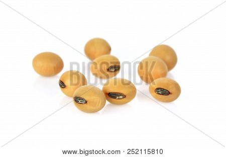 A Soybeans  Isolated On The White Backgrounds