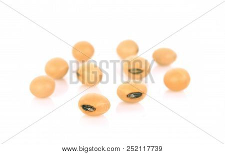 The Soybeans  Isolated On The White Backgrounds
