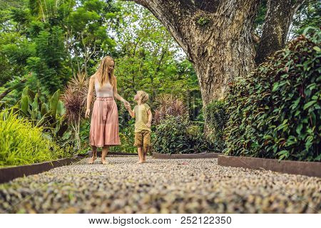 Mother And Son Walking On A Textured Cobble Pavement, Reflexology. Pebble Stones On The Pavement For