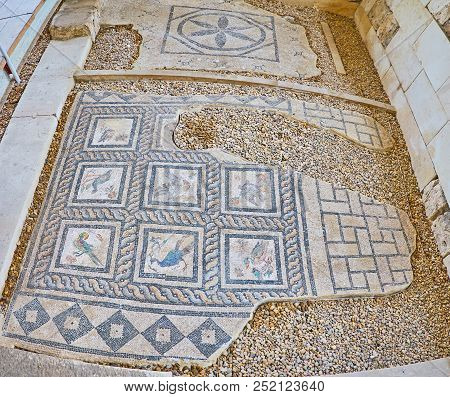 Alexandria, Egypt - December 18, 2017: The Antique Roman Villa Of Birds Boasts Intricate Floor Mosai