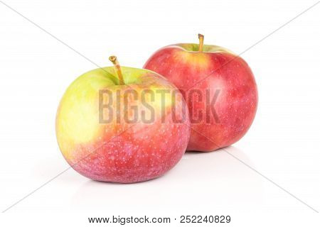 Group Of Two Whole Fresh Red Apple James Grieve Variety Isolated On White Background