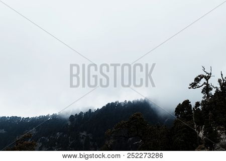 Mystical And Mysterious Forest In The Fog With A Bird Forest And Mountain