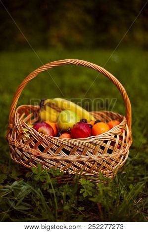 A Fruit Basket On The Grass In The Park