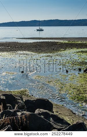A Bost Floats On The Puget Sound In Des Moines, Washington.