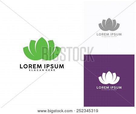 Leaf Logo Design Vector, Green Logo Template, Nature Icon