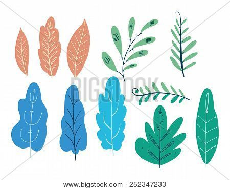 Autum Season Design. Leaves Hand Drawn Vector Set Illustration.