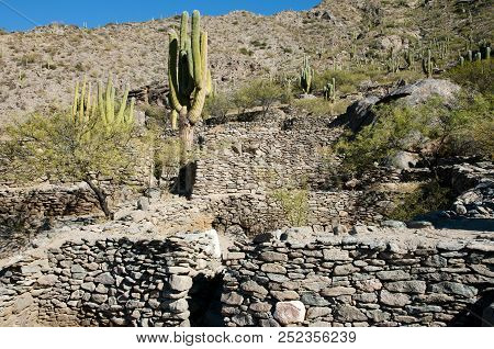 Old Quilmes Ruins - Tucuman - Argentina