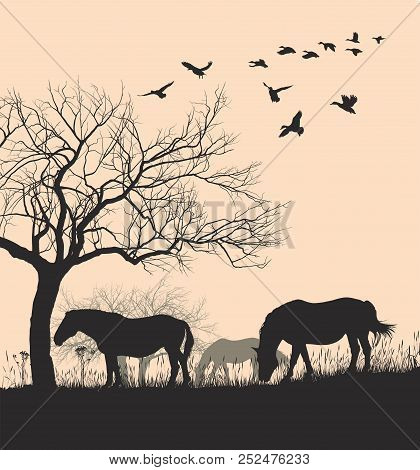 Vector Illustration Horse Silhouette On Sunset Background.
