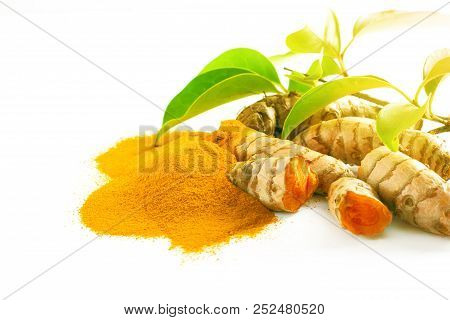 Turmeric Roots And Powder Isolated On White