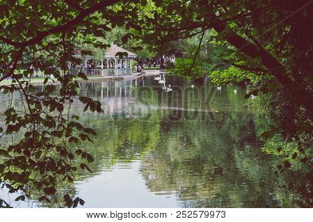 Detail Of St Stephen's Green Park In Dublin City Centre Shot In Full Summer