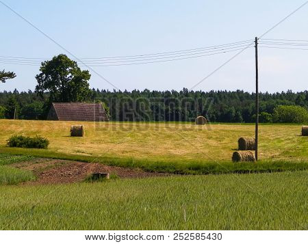 Sheaves Of Hay On Meadow On Kashubian Village. Nature And Agriculture Concept.