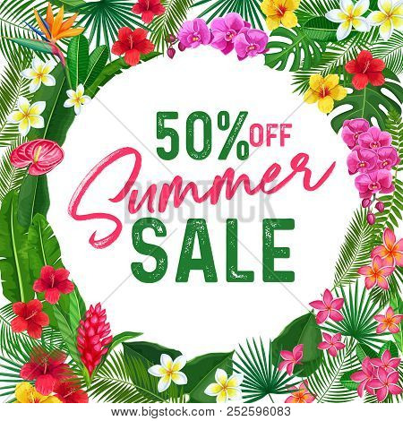 Summer Banner Vector Photo Free Trial Stock Summer Banner Or Poster Tropical Template Page Design With Jungle Exotic Leaf Philodendron