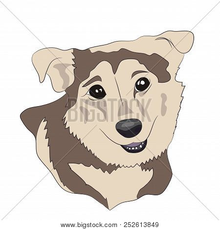 Dog Portrait Lines, Lines, Vector, White Background