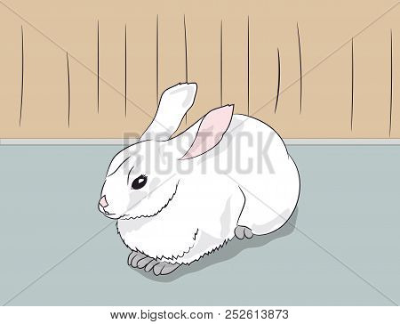 White Rabbit Sitting In A Room, Vector