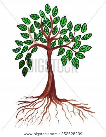 Hand Drawing Of A Tree With A Branching Crown Falls Off And Leaves Traced
