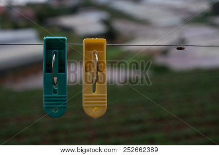 Couple Plastic Clothes Peg. Royalty High Quality Stock Photo Of Two Yellow Plastic Clothes Peg Cloth