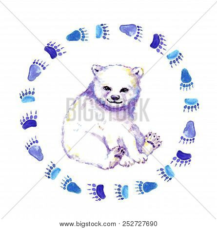 Cute Polar Bear Cub, White Bear Animal In Wreath With Footprint. Watercolor Animal