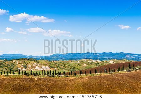 Road And Cypresses On A Hill Near Asciano In Crete Senesi, Tuscany, Italy