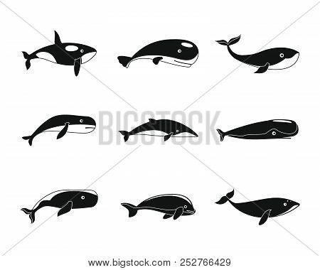 Whale Blue Tale Fish Icons Set. Simple Illustration Of 9 Whale Blue Tale Fish Icons For Web