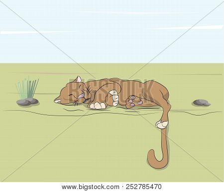 Lioness Sleeping On Nature, Around Trees Under Blue Sky, Vector
